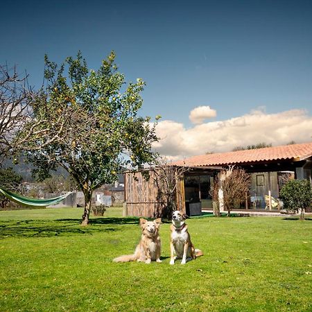Casa Barros Βίλα Tui Εξωτερικό φωτογραφία