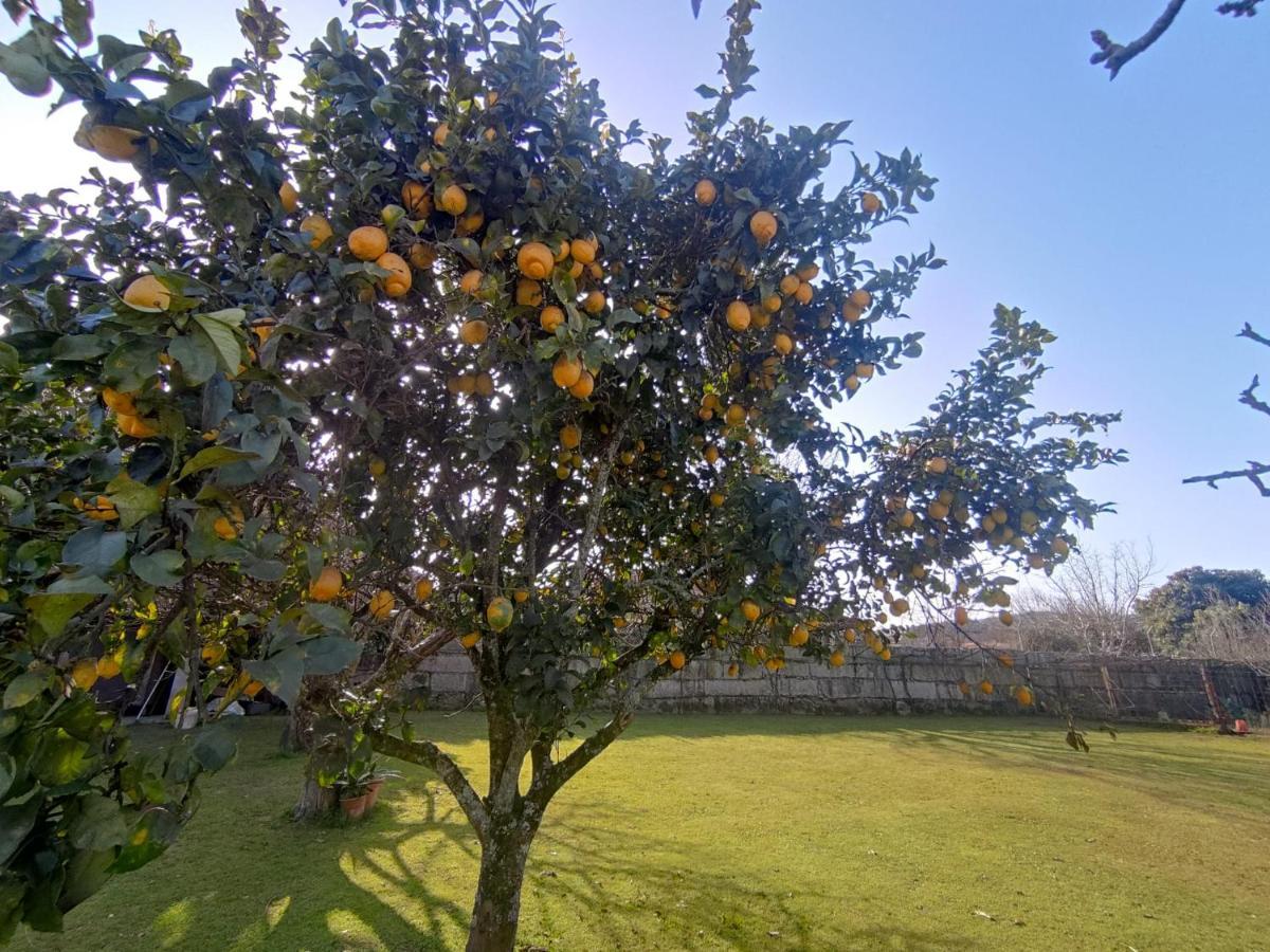 Casa Barros Βίλα Tui Εξωτερικό φωτογραφία